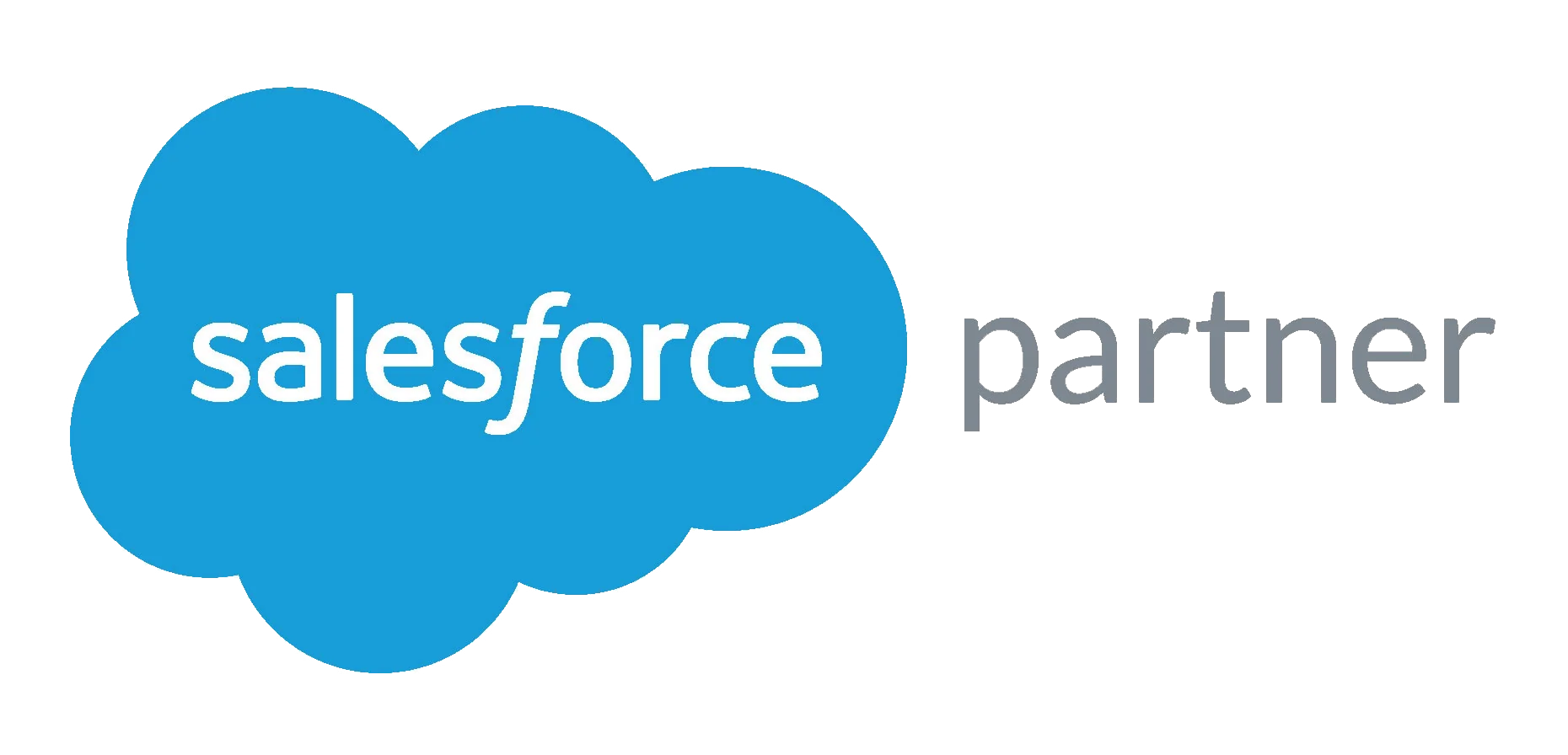 Salesforce Partner Logo
